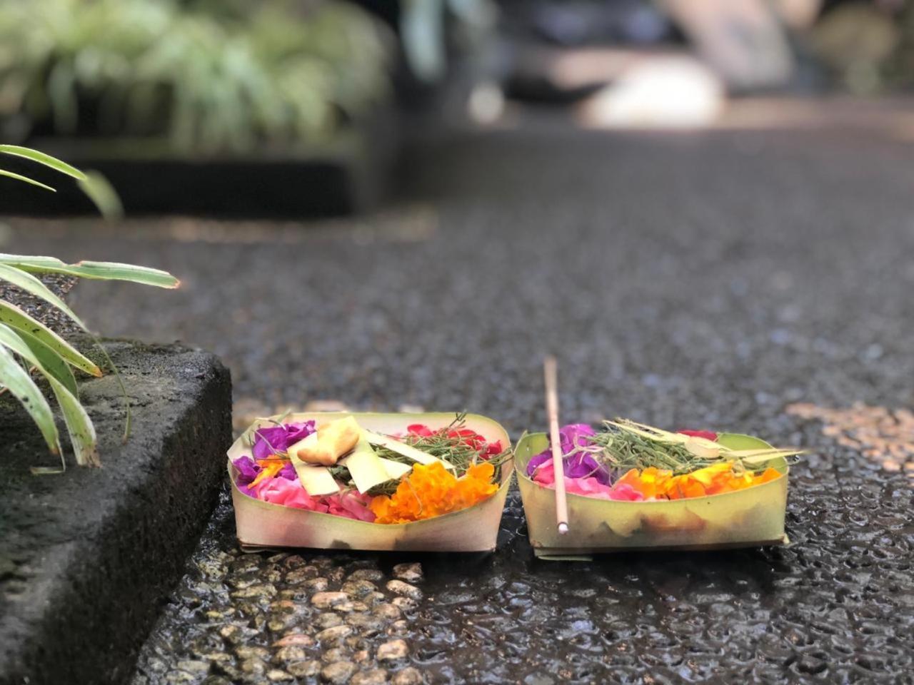Depa House Hotel Ubud Eksteriør billede